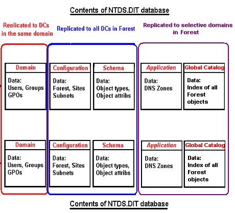 DNS Data Storage